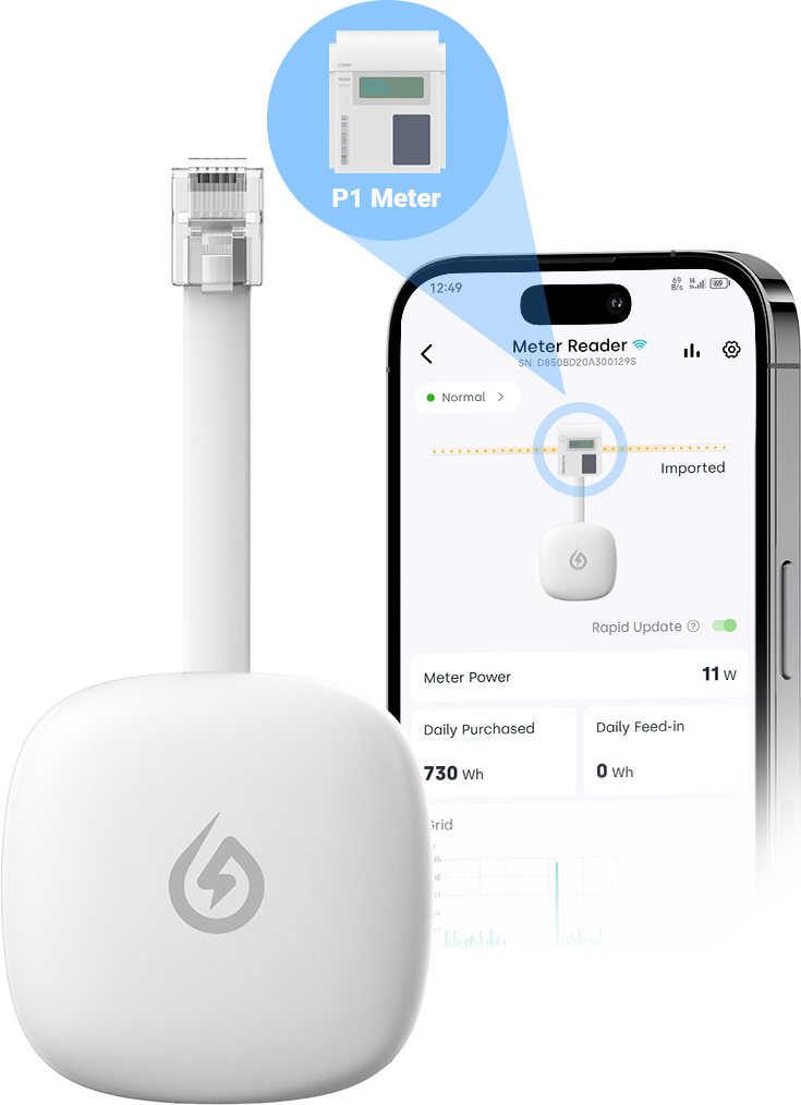 P1 Meter Reader